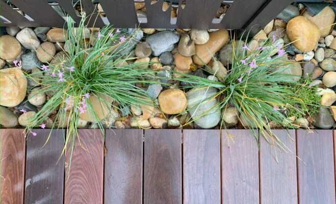 Terrasse en bois, Pleumeleuc, Tendance Naturelle